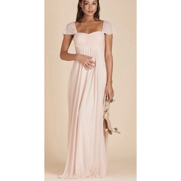 Birdy Grey XS Pale Blush Maria Maxi Dress NWT Empire Waist Bridesmaid Formal - Picture 1 of 17